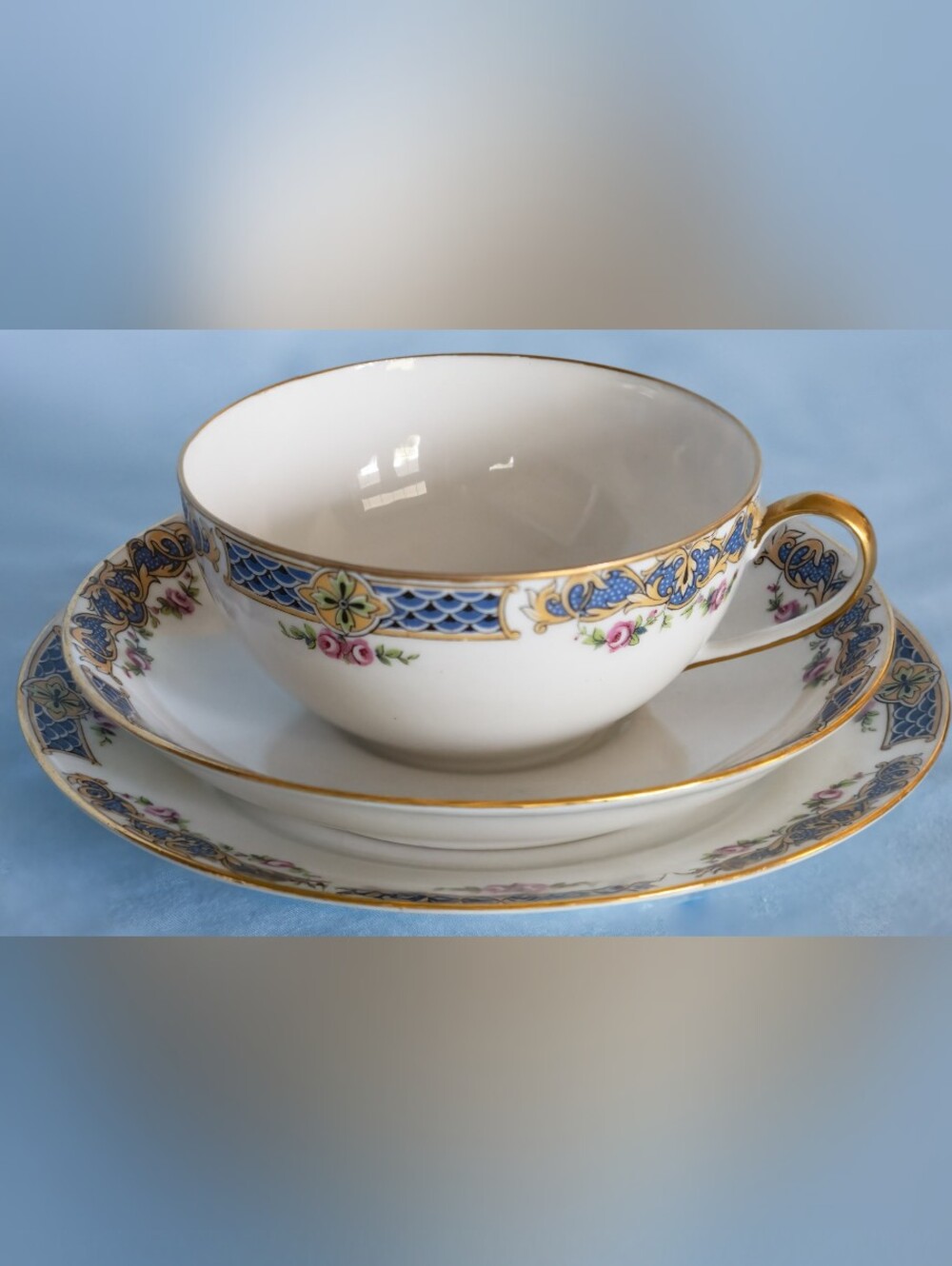 Beautiful Antique Hudson Bay Company Limoges France Triple Set